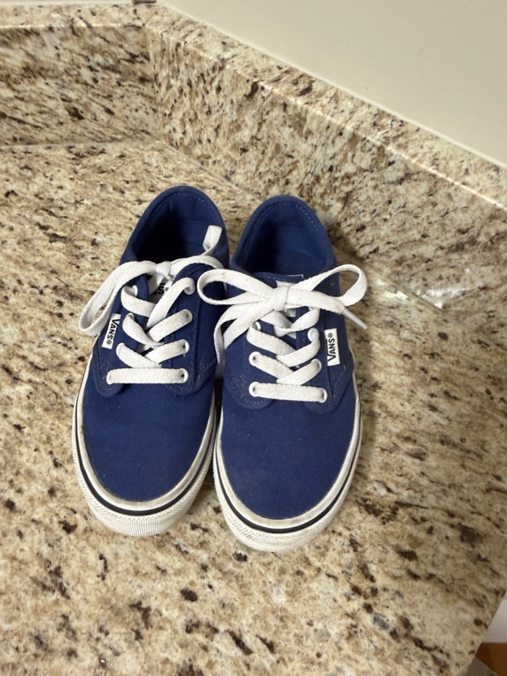 Vans Atwood Kids Navy Canvas Lace-Up Sneakers
